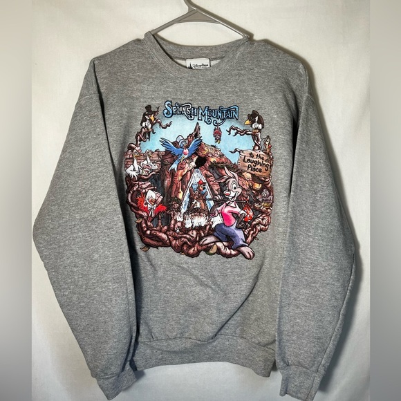 Hanes Disneyland Disney Parks Splash Mountain Grey  Crewneck Size S - Picture 1 of 10